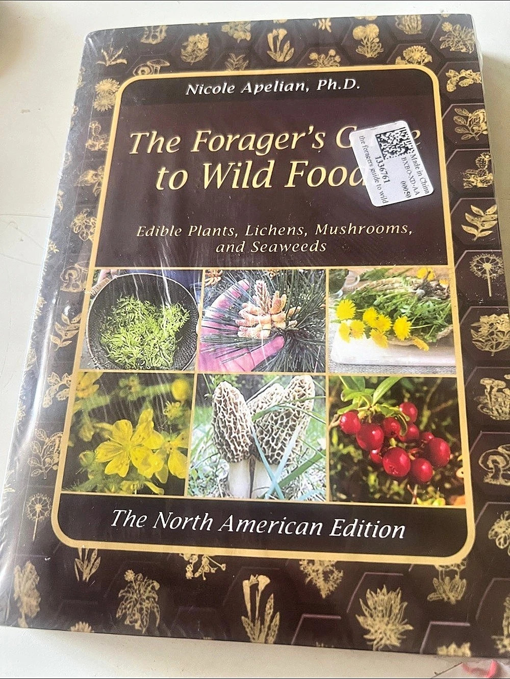 The Forager's Guide to Wild Foods: The North American Edition Wild Foods Guide